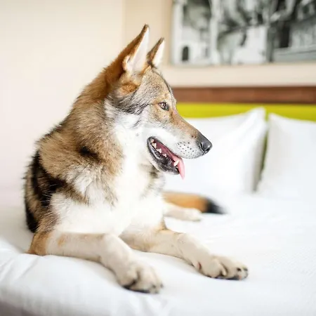 Hampton By Hilton Krakow-2